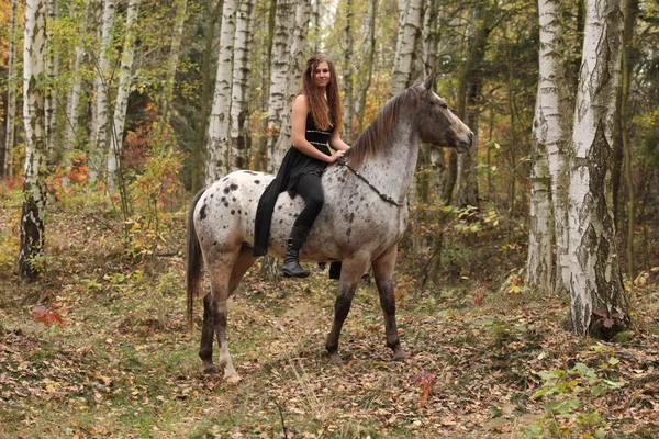 Chica joven con caballo appaloosa en otoño —  Fotos de Stock