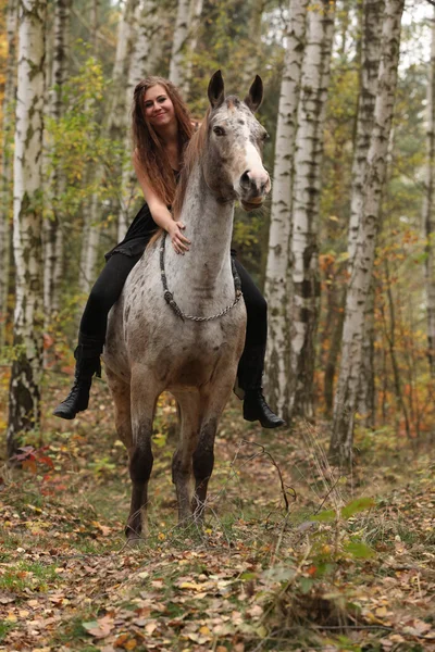 Young girl with appaloosa horse in autumn — Stock Photo, Image