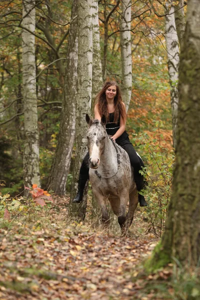 Jovem com cavalo appaloosa no outono — Fotografia de Stock
