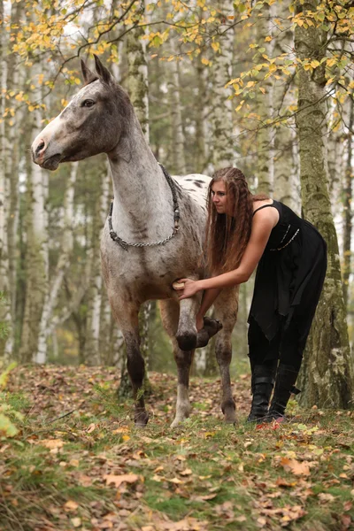 Menina bonita com vestido agradável em pé ao lado de cavalo agradável — Fotografia de Stock