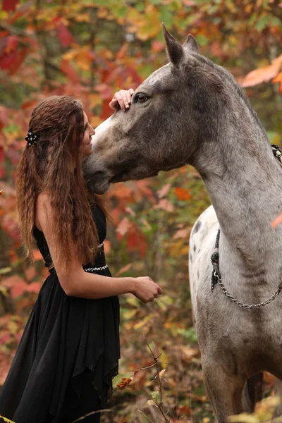 Mujer bonita con caballo appaloosa en otoño — Foto de Stock