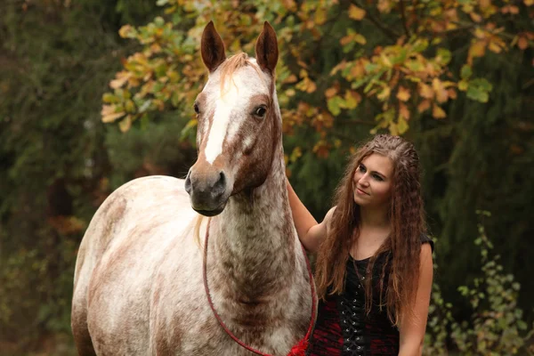 Menina incrível de pé ao lado do cavalo appaloosa — Fotografia de Stock