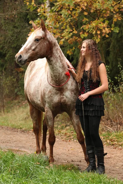 Amazing girl standing next to the appaloosa horse — Stock Photo, Image