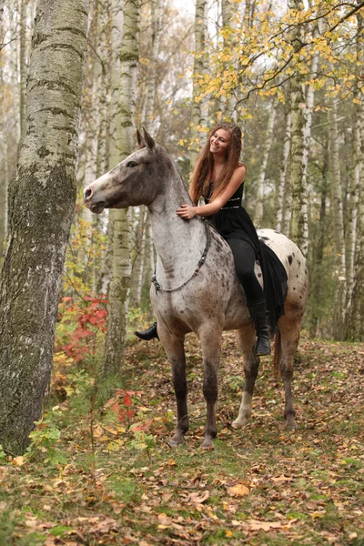 Chica joven con caballo appaloosa en otoño —  Fotos de Stock