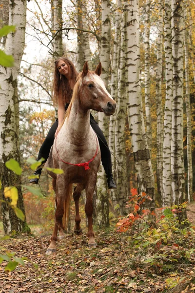 Pretty young girl riding a horse without any equipment in autumn — Stock Photo, Image