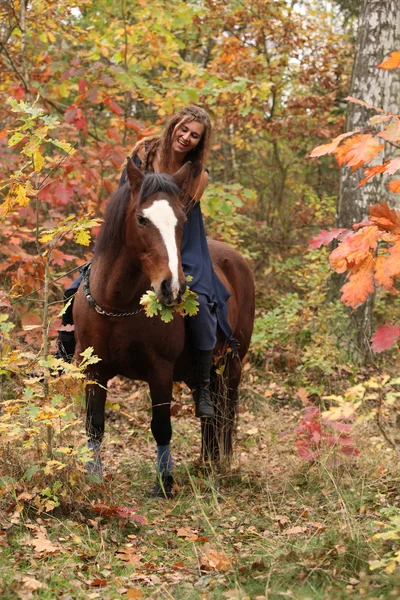 Menina agradável com cavalo marrom no outono — Fotografia de Stock