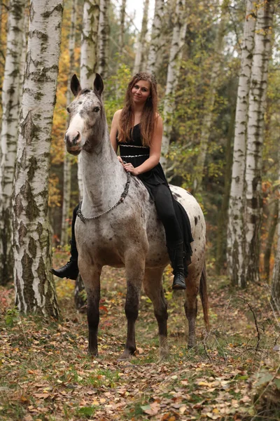 Chica joven con caballo appaloosa en otoño — Foto de Stock