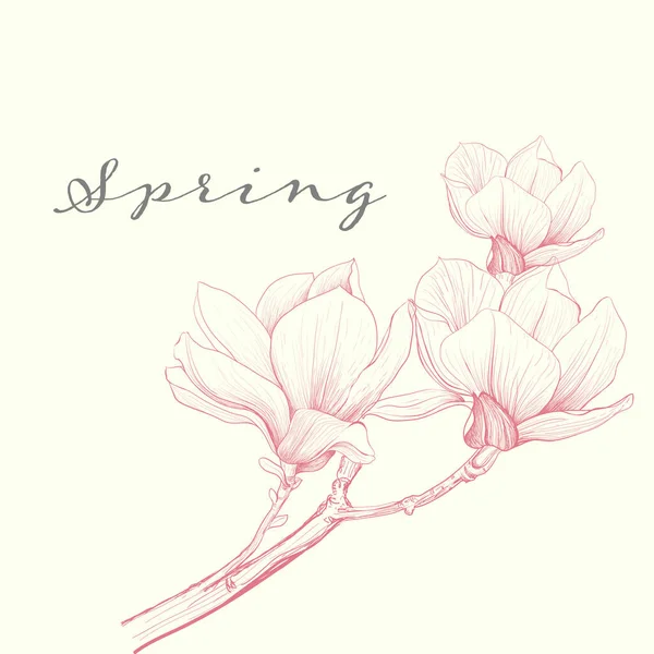 Elementen Magnolia Bloem Handtekening Schets Lijn Kunst Witte Achtergronden Vector — Stockvector