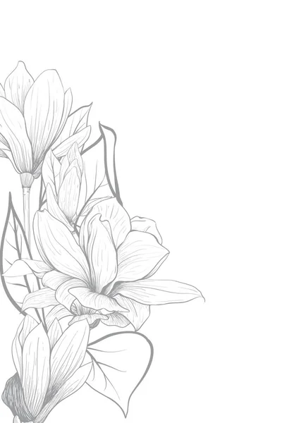 Les Éléments Magnolia Fleur Dessin Main Croquis Art Linéaire Sur — Image vectorielle