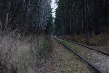 Sonbahar ormanı ve demiryolu