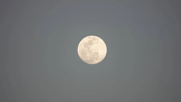 Luna Redonda Cielo Nocturno — Foto de Stock