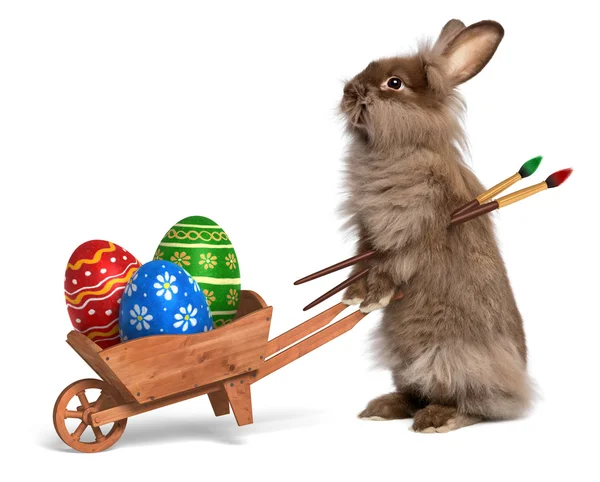 Divertido conejo de Pascua con una carretilla y un huevo de Pascua — Foto de Stock