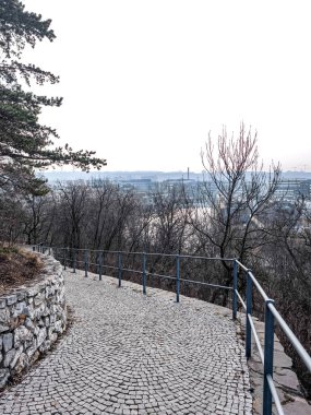 Prag, Çek Cumhuriyeti - 26 Şubat 2025: Czechia 'daki Vltava Nehri' ne doğru inen kaldırım taşı yolu, Palmovka Liben İlçe Bahçeleri 'ndeki kentsel manzarayı huzurlu bir şekilde gösteriyor