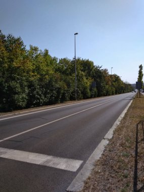 Berrak, güneşli bir yaz gününde yemyeşil ağaçların arasından geçen beyaz işaretli düz asfalt yol sürücüler için manzaralı bir manzara sunuyor.