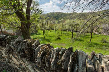 Çayırdaki eski taş duvar