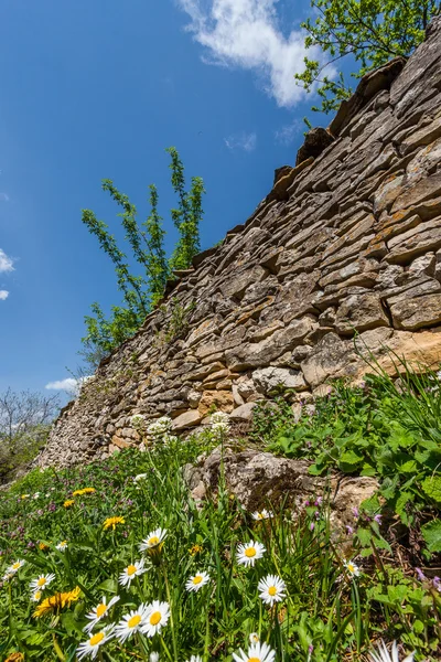 Stary kamienny mur obok drzew i kwiatów — Zdjęcie stockowe