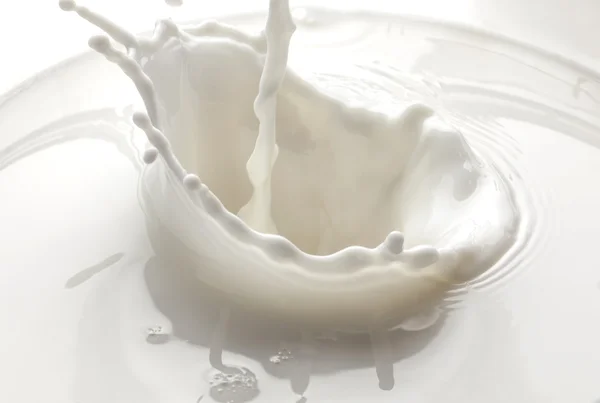 Verter salpicadura de leche aislada sobre fondo blanco — Foto de Stock