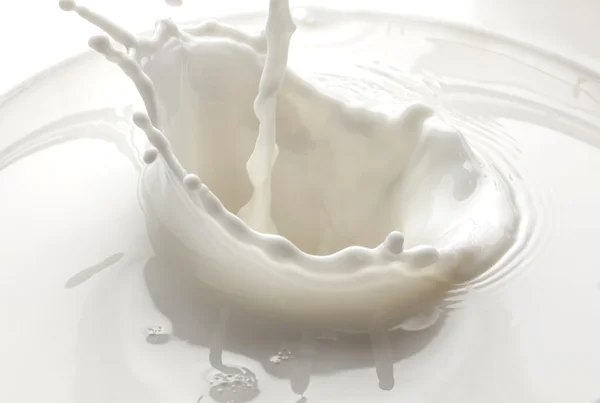Verter salpicadura de leche aislada sobre fondo blanco Imagen de archivo