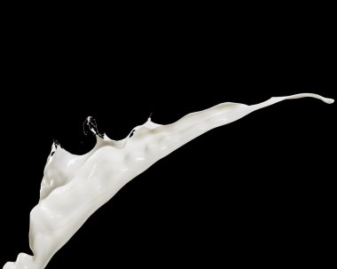 Siyah arka plan üzerine izole uçan sıçramasına süt