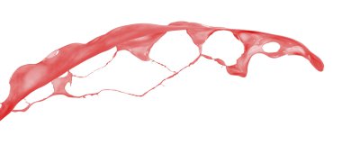 Beyaz arka plan üzerinde kırmızı sıçrama