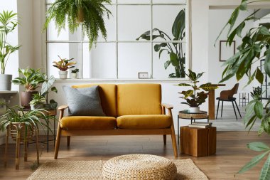 Sarı kadife kanepesi, bitkileri, mobilyaları, kitabı, ahşap küpü ve şık ev dekorasyonunda kişisel aksesuarları olan İskandinav açık alanının iç tasarımı. Şablon.