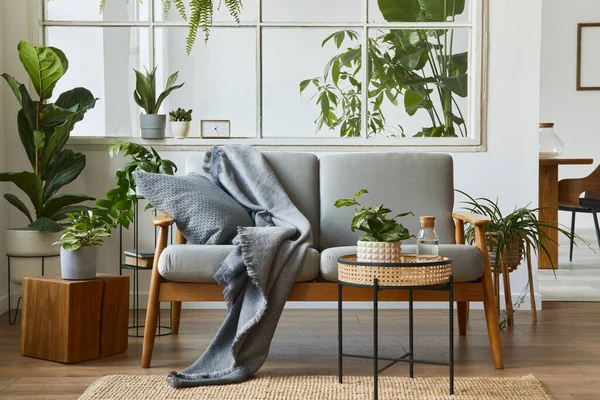 Moderní Skandinávský Interiér Obývacího Pokoje Designovou Šedou Pohovkou Křeslem Spoustou — Stock fotografie