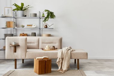 Şık kanepe, gri sehpa, kitaplık, bitkiler, halı, dekorasyon, fotokopi alanı ve zarif kişisel aksesuarlarla dolu rahat bir iç mekan. Klasik evdeki tarafsız oturma odası. Şablon.