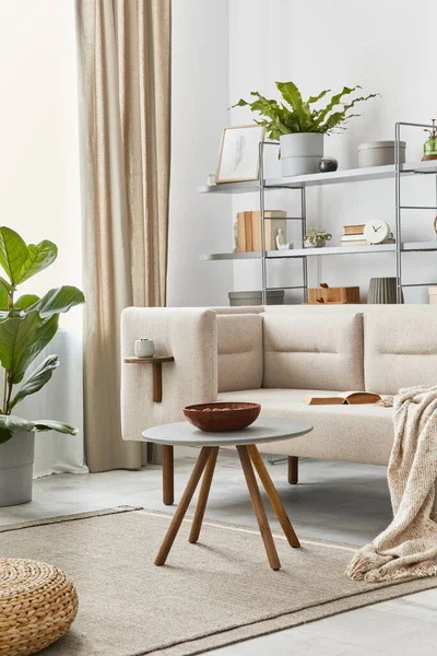 Cozy Interior Stylish Sofa Grey Coffee Table Bookcase Plants Carpet — Stock Photo, Image
