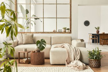 Modüler kanepe, mobilya, ahşap sehpa, ekose, yastık, tropikal bitkiler ve şık ev dekorunda zarif kişisel aksesuarları olan modern bir açık alan. Tarafsız oturma odası.