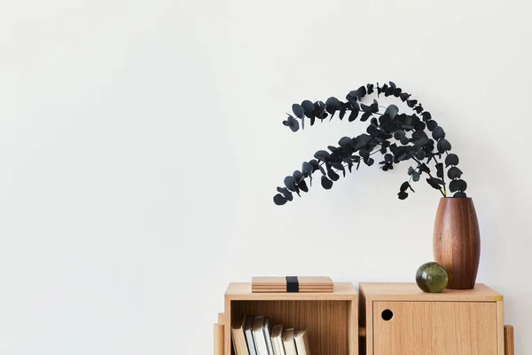 Moderne Wohnzimmerkomposition Mit Design Bücherregal Aus Holz Eukalyptusblatt Vase Buch — Stockfoto