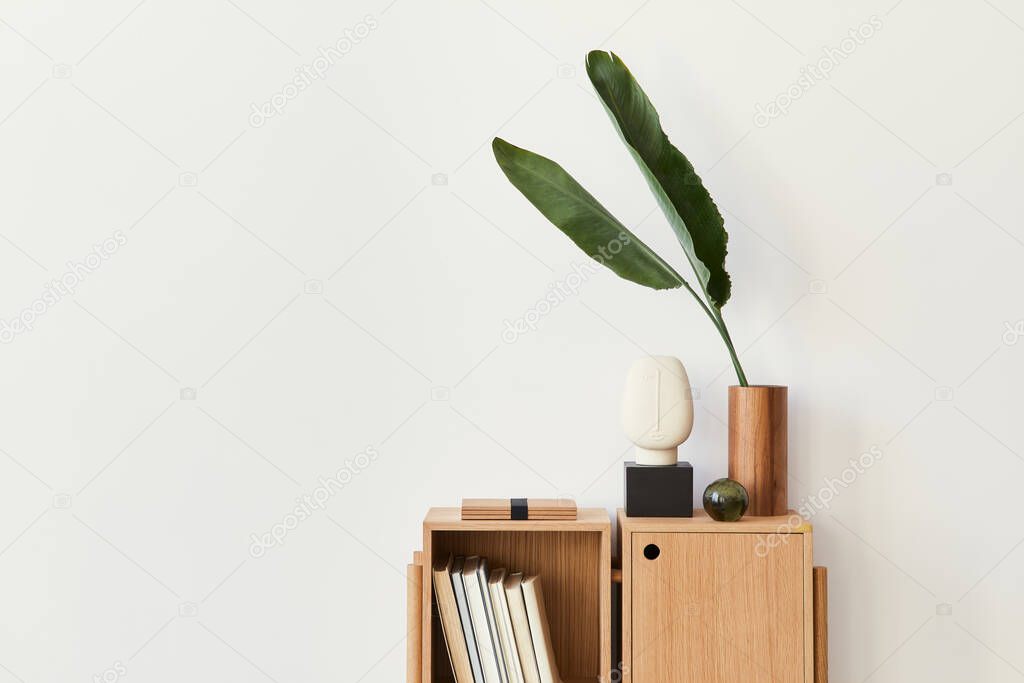 Modern composition of living room interior with design wooden bookcase, tropical leaf in vase, book, decoration, glassy ball and copy space on the white wall. Template.