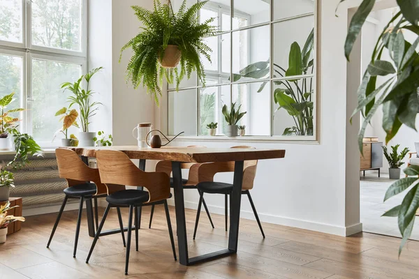 Elegante Acogedor Interior Comedor Con Mesa Madera Artesanal Diseño Sillas —  Fotos de Stock