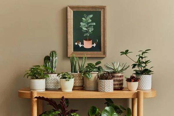 Stilvolle Komposition Von Home Garden Interieur Mit Attrappe Posterrahmen Gefüllt — Stockfoto