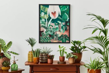Klasik retro rafı olan bir oturma odası, bir sürü ev bitkisi, kaktüs, ahşap kaplama beyaz duvarda poster çerçevesi ve şık ev bahçesinde zarif aksesuarlar. Şablon. 