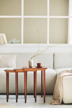 Oturma odasının iç kısmının nötr kanepe, ahşap yan masa, vazoda kurumuş çiçek, yastık, pencere, dekorasyon ve ev dekorasyonunda zarif kişisel aksesuarlar ile minimalist kompozisyonu. Şablon