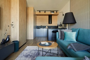 Modern oturma odasının yaratıcı kompozisyonu küçük bir dairede açık alan. Okaliptüs kanepe, yastıklar, küçük tasarlanmış ahşap sehpa ve kişisel aksesuarlar. Yerde halı var. Mutfak arka planda. Şablon.