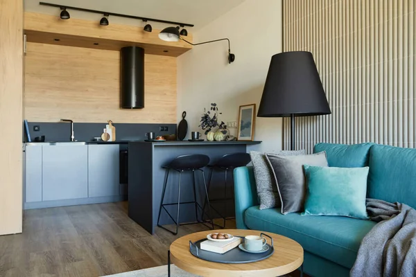 小さなアパートでモダンなリビングルームオープンスペースのインテリアの創造的な組成 ユーカリのソファ 小さなデザインの木製のコーヒーテーブルと個人的なアクセサリー 床にカーペット 背景にキッチン テンプレート — ストック写真