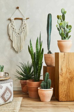 İçi fotokopi alanı, bir sürü bitki ve kaktüs, tahta küpler ve boho aksesuarlarıyla dolu lüks bir oturma odası kompozisyonu. Bej duvar, yerde halı. Bitkiler konsepte bayılır. Şablon.