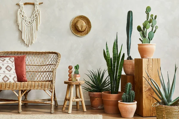 Stylowa Kompozycja Przytulnego Salonu Przestrzenią Kopiowania Dużą Ilością Kaktusów Roślin — Zdjęcie stockowe
