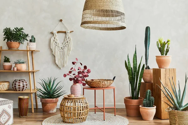 Stylish Composition Modern Living Room Interior Copy Space Lot Cacti — Stock Photo, Image