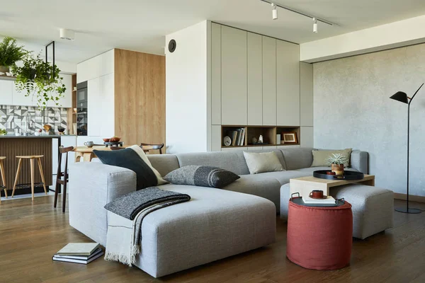 Stylish Living Room Interior Design Grey Sofa Pouf Personal Accessories — Stock Photo, Image