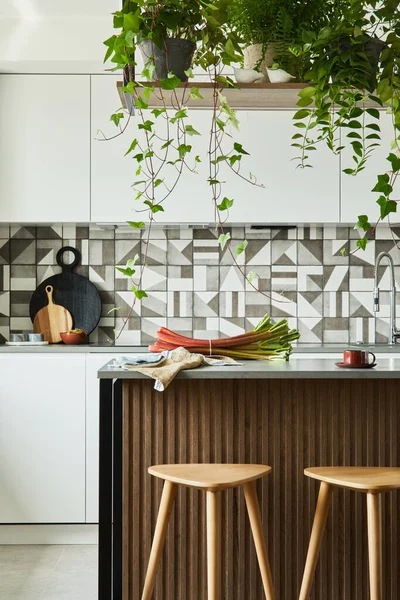 Elegante Cocina Diseño Interior Con Espacio Para Comer Espacio Trabajo — Foto de Stock