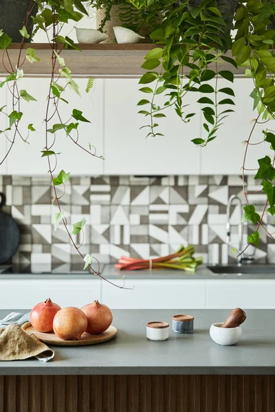 风格新颖的厨房室内设计 有餐厅空间 后院有厨房配饰的工作空间 有羊毛镶板的创意墙 简约的风格 植物爱情的概念 — 图库照片