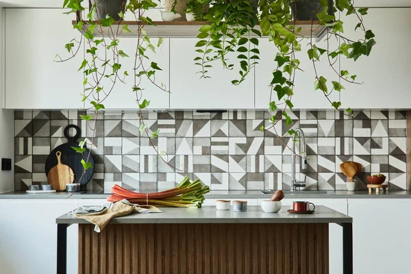 Elegante Cocina Diseño Interior Con Espacio Para Comer Espacio Trabajo — Foto de Stock