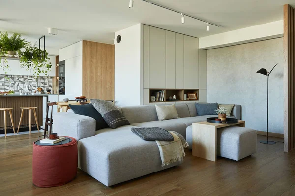 Elegante Sala Estar Design Interiores Com Sofá Cinza Pufe Acessórios — Fotografia de Stock