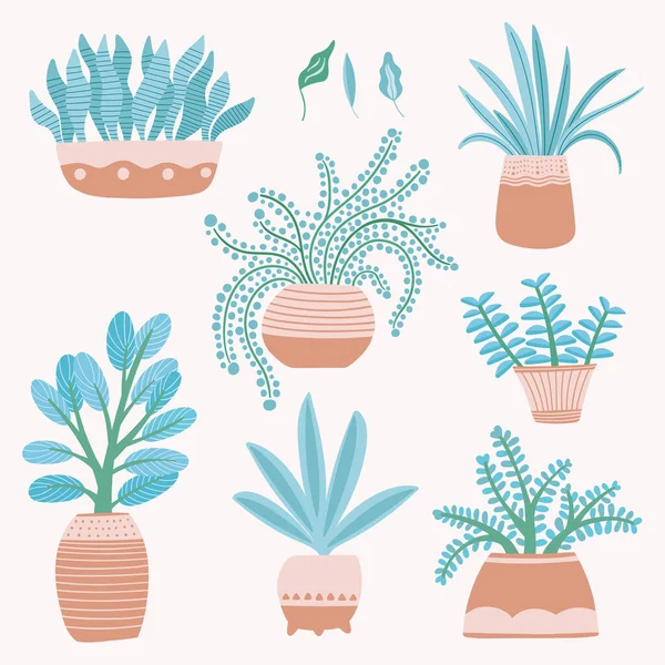 Plantas de casa prontas. Ícones vetoriais isolados de plantas interiores suculentas em vasos. Natureza recurso de design de plantas domésticas. — Vetor de Stock