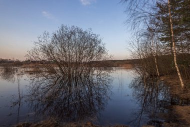 Nehir kıyılarından taştı. Su basmış topraklar ve çalılar. Çalılar ve ağaçlar suya yansıyor. Bir nehir ve ufukta evler olan akşam manzarası.