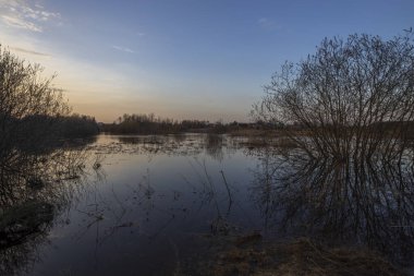 Nehir kıyılarından taştı. Su basmış topraklar ve çalılar. Ufukta nehir kıyısında bir köy.
