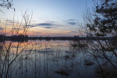 Nehirle akşam manzarası. Ufuktaki köy ve orman. Nehirde gün batımı. Gökyüzü ve akşam bulutları suya yansıyor. Ön planda ağaçların ve çalıların dalları.