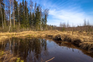 Büyük bir su birikintisi olan bahar manzarası ve güneşli bir günde arka planda ağaçlar. Gökyüzü suya yansıyor..